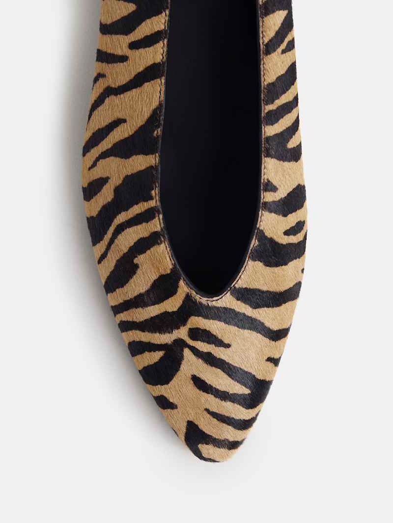 Calista Flat